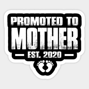 Promoted to Mother 2020 Funny Mother's Day Gift Ideas For New Mom Sticker